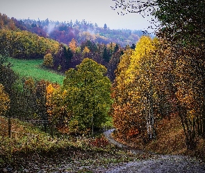Drzewa, Droga, Jesień, Mgła, Wzgórze, Ogrodzenie