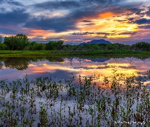 Stany Zjednoczone, Zachód słońca, Willow Lake, Odbicie, Trawy, Jezioro, Arizona, Hrabstwo Yavapai, Prescott