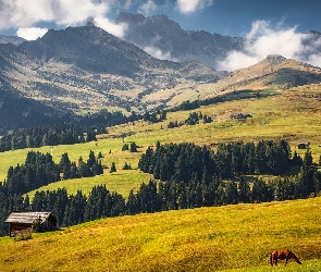 Góry, Domki, Koń, Łąka, Wzgórza, Drzewa