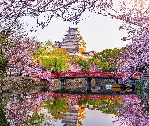 Japonia, Zamek Himeji, Drzewa, Zamek Białej Czapli, Wiosna, Gałęzie, Most, Kanał, Himeji, Okwiecone