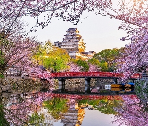 Japonia, Most, Kanał, Himeji, Zamek Białej Czapli, Zamek Himeji, Okwiecone, Gałęzie, Wiosna, Drzewa