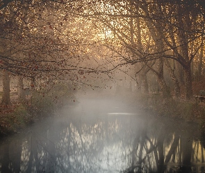 Park, Jesień, Mgła, Rzeka, Drzewa