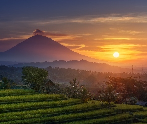 Indonezja, Zachód słońca, Mgła, Wyspa Bali, Pola, Góry, Uprawne, Tarasy ryżowe, Wulkan Agung, Drzewa