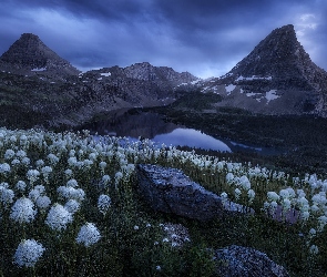 Las, Góry, Chmury, Stan Montana, Park Narodowy Glacier, Stany Zjednoczone, Hidden Lake, Miądrzyga, Drzewa, Kwiaty, Jezioro