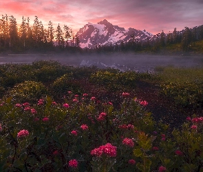 Picture Lake, Odbicie, Góry, Mgła, Park Narodowy Północnych Gór Kaskadowych, Stany Zjednoczone, Góra, Stan Waszyngton, Jezioro, Mount Shuksan, Drzewa