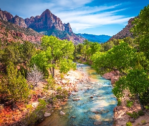 Góra Watchman, Rzeka Virgin River, Góry, Park Narodowy Zion, Stany Zjednoczone, Chmury, Kamienie, Stan Utah, Drzewa