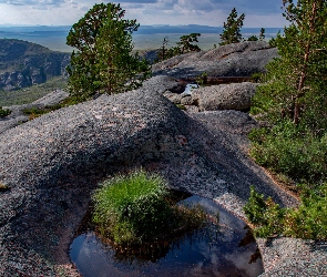 Sosny, Kępka, Drzewa, Park Narodowy Karkaraly, Kazachstan, Kałuża, Trawy, Obwód karagandyjski, Skały