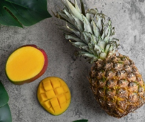 Mango, Liście, Ananas