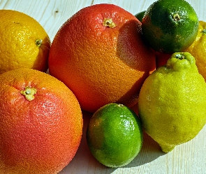 Cytrusy, Limonki, Cytryna, Pomarańcze