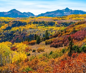 Wilson Peak, Góra, Drzewa, Kolorado, Telluride, Stany Zjednoczone, San Juan Mountains, Góry, Las, Jesień, Góry