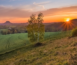 Saksonia, Drzewa, Góra Lilienstein, Niemcy, Pola, Zachód słońca, Łąka