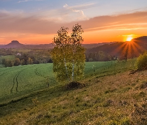 Saksonia, Drzewa, Góra Lilienstein, Niemcy, Pola, Zachód słońca, Łąka