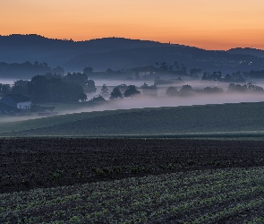 Pola, Nadrenia-Palatynat, Góry, Niemcy, Eifel, Wschód słońca, Dolina, Drzewa, Mgła