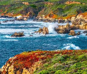 Stany Zjednoczone, Fale, Wybrzeże, Rośliny, Big Sur, Skały, Stan Kalifornia, Park stanowy Garrapata, Morze