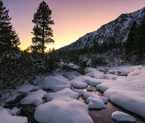 Śnieg, Rzeka, Góry, Słowacja, Tatry, Drzewa