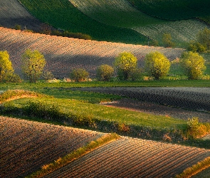 Pola, Wiosna, Drzewa, Łąki, Wzgórza