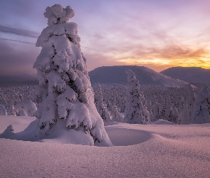 Śnieg, Zachód słońca, Góry, Drzewa, Zima
