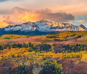 Telluride, Kolorado, Pożółkłe, Stany Zjednoczone, Drzewa, San Juan Mountains, Las, Jesień, Góry