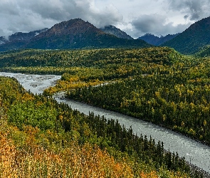 Chugach Mountains, Drzewa, Góry, Matanuska River, Alaska, Rzeka, Stany Zjednoczone, Chickaloon
