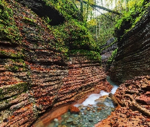 Wąwóz, Austria, Drzewa, Rzeka Taugl, Skały