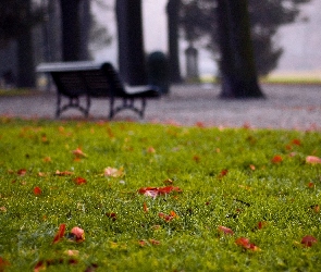 Ławka, Park, Jesień