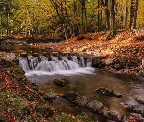 Kamienie, Drzewa, Rzeka, Liście, Skarpy, Jesień, Próg skalny