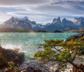 Chile, Park Narodowy Torres del Paine, Drzewo, Patagonia, Góry, Chmury, Cordillera del Paine, Jezioro, Niebo, Lake Pehoe
