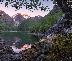 Jezioro, Rośliny, Drzewa, Skały, Góry