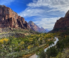 Utah, Park Narodowy Zion, Rzeka, Stany Zjednoczone, Krzewy, Góry, Virgin