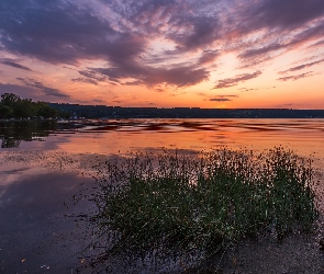 Jezioro, Drzewa, Trawy, Kępka, Zachód słońca