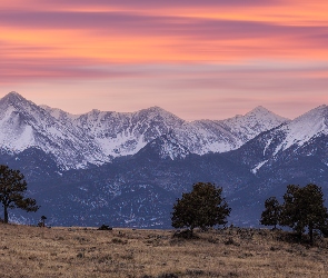 Zachód słońca, Kolorado, Trawa, Stany Zjednoczone, Westcliffe, Drzewa, Góry, Sangre de Cristo Mountains, Łąka