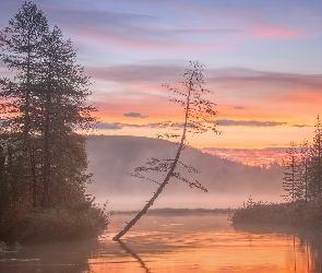 Drzewa, Mgła, Kołyma, Wschód słońca, Jacka Londona, Rosja, Jezioro