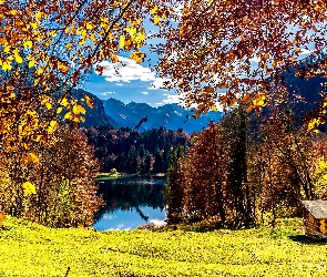 Słoneczny blask, Góry, Chata, Jesień, Drzewa, Jezioro