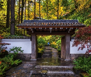 Jesień, Brama, Oregon, Drzewa, Ogród japoński, Stany Zjednoczone, Portland
