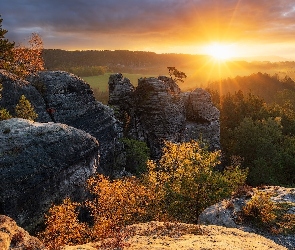 Skały, Drzewa, Park Narodowy Saskiej Szwajcarii, Wschód słońca, Jesień, Niemcy, Góry Połabskie