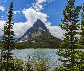 Góry, Szczyt Grinnell Point, Stan Montana, Drzewa, Jezioro Swiftcurrent Lake, Stany Zjednoczone, Park Narodowy Glacier