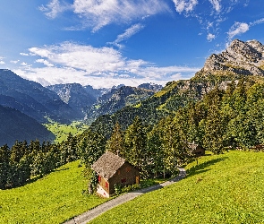 Kanton Glarus, Braunwald, Droga, Szwajcaria, Alpy Glarneńskie, Domki, Góry