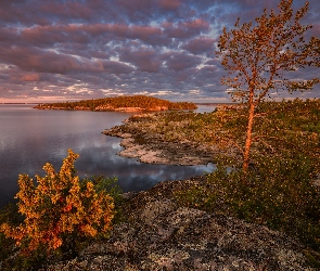 Karelia, Jesień, Rosja, Ładoga, Roślinność, Jezioro, Skały, Drzewa