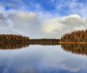 Alaska, Odbicie, Jezioro, Stany Zjednoczone, Drzewa, Jesień, Twelvemile Lake