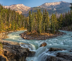 Kanada, Park Narodowy Jasper, Skały, Góry, Rzeka Sunwapta, Drzewa