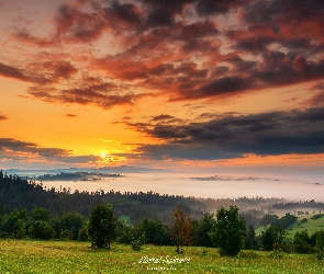 Wschód słońca, Chmury, Lasy, Góry, Drzewa, Pole