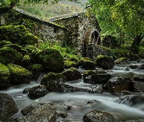 Hrabstwo Kumbria, Rzeka, Anglia, Młyn, Kamienie, Borrowdale, Drzewa, Omszałe