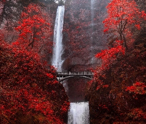 Stany Zjednoczone, Stan Oregon, Multnomah Falls, Wodospad, Drzewa, Most