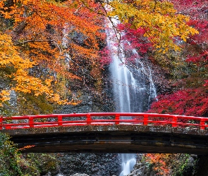 Wodospad, Most, Drzewa, Jesień, Skały, Czerwony