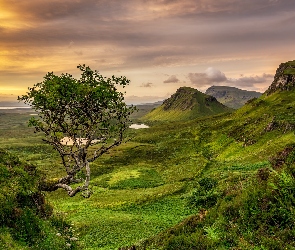 Góry, Quiraing, Wyspa Skye, Szkocja, Wzgórze, Chmury, Wzgórza, Jeziora, Drzewo