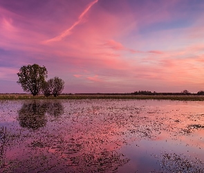 Trawa, Niebo, Biebrza, Polska, Różowe, Rzeka, Drzewa