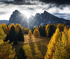 Val Gardena, Drzewa, Dolomity, Seiser Alm, Jesień, Włochy, Góry, Chmury, Dolina, Sassolungo, Płaskowyż
