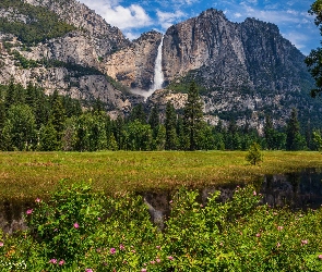 Stany Zjednoczone, Krzewy, Wodospad, Kwiaty, Łąka, Skały, Kalifornia, Park Narodowy Yosemite, Góry
