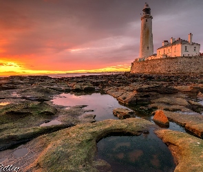 Anglia, Wyspa St Marys, St Marys Lighthouse, Latarnia morska, Skały, Zachód słońca