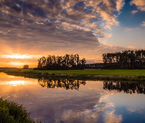 Chmury, Zachód słońca, Narew, Polska, Krzewy, Rzeka, Drzewa